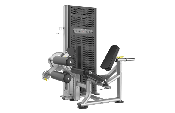 Mesin Keriting & Ekstensi Kaki Peralatan Gym Komersial Bergaya