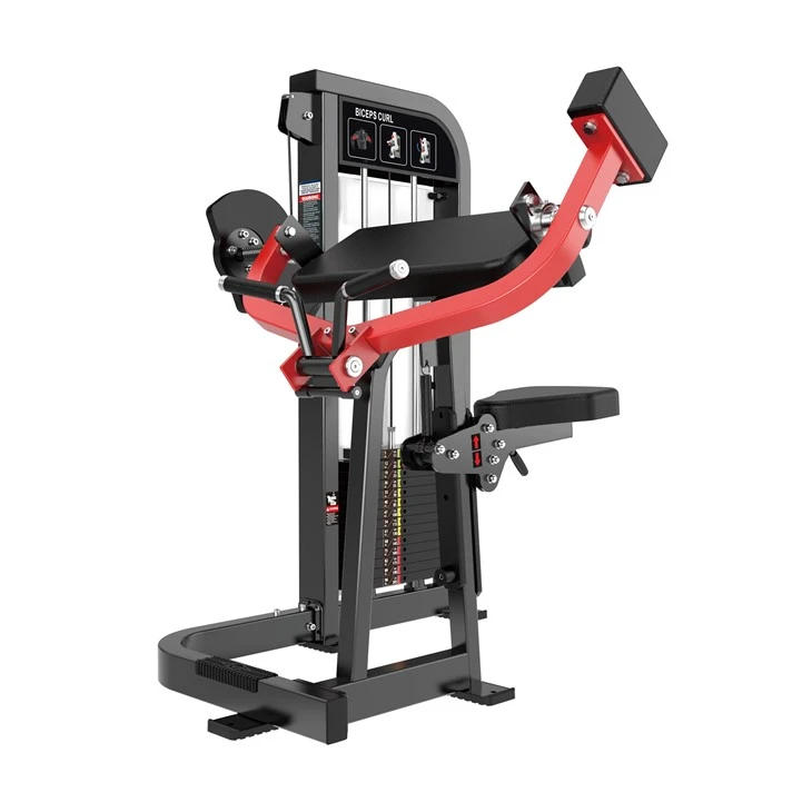 Keriting Bisep Gym Komersial